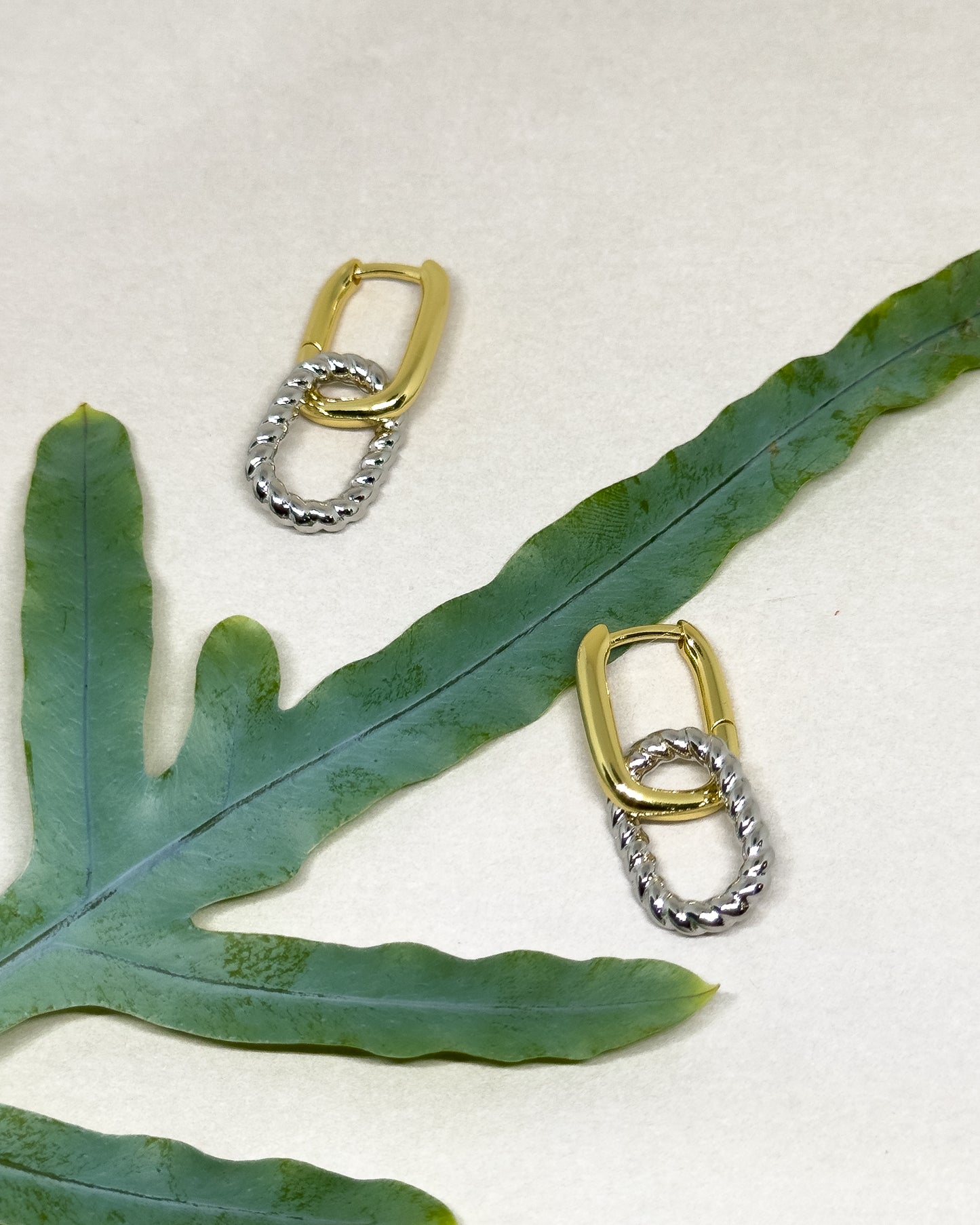 Two tone Double loop Earrings